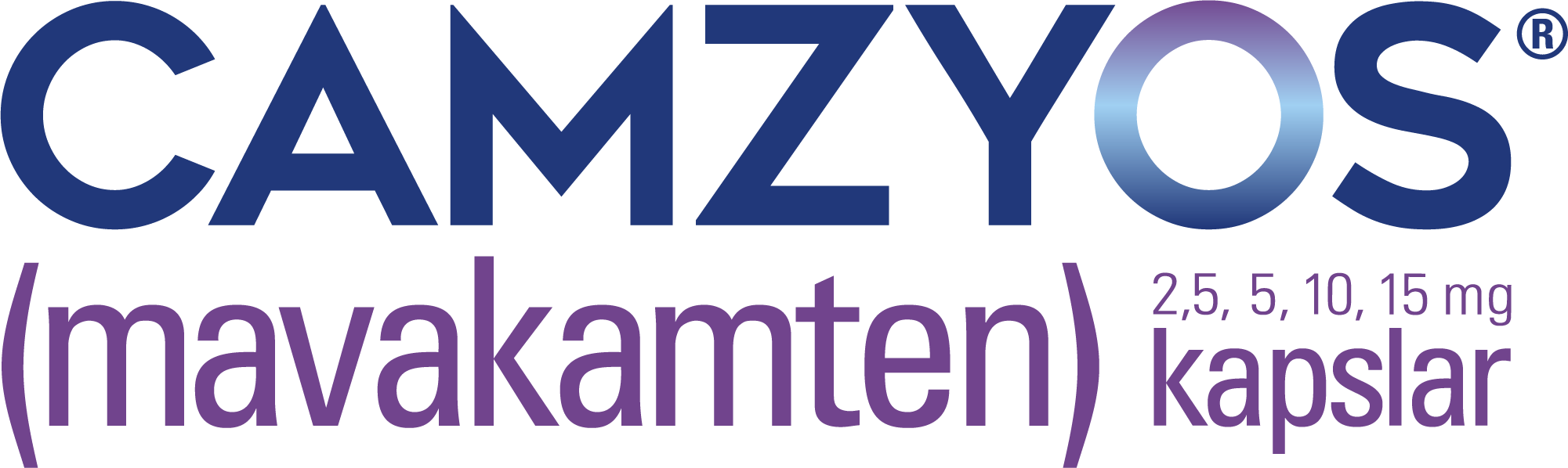 Header Logo